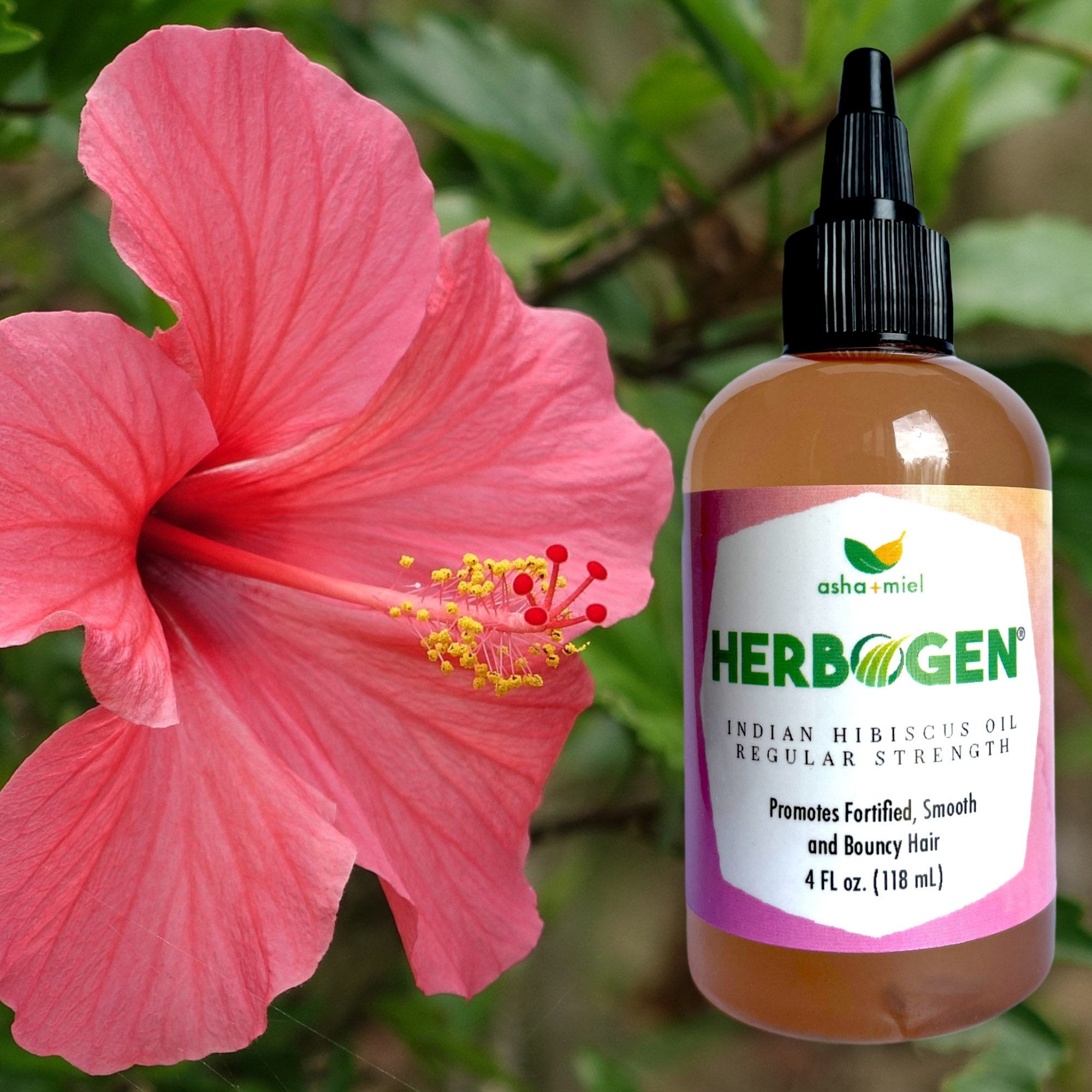Super Concentrated Ayurvedic Hibiscus Oil, Indian Hair Oil, Growth Serum,  Ayurvedic Hair Oil - Asha + Miel Body Care